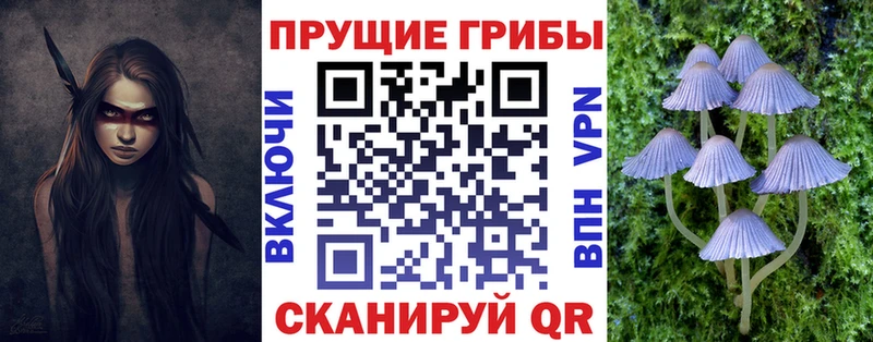 дарнет шоп Няндома Псилоцибиновые грибы мицелий
